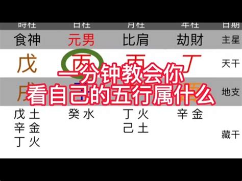 上海五行|上海的五行是什么？